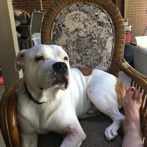 Meet your Posher, Michele